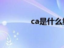 ca是什么縮寫（CA是什么）