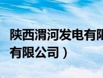 陜西渭河發(fā)電有限公司總經(jīng)理（陜西渭河發(fā)電有限公司）