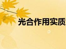 光合作用實(shí)質(zhì)意義(光合作用實(shí)質(zhì)) 光合作用實(shí)質(zhì)意義(光合作用實(shí)質(zhì))