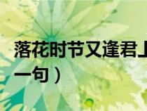 落花時(shí)節(jié)又逢君上一句詩(shī)(落花時(shí)節(jié)又逢君上一句) 落花時(shí)節(jié)又逢君上一句詩(shī)(落花時(shí)節(jié)又逢君上一句)