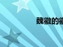 魏徽的徽怎么讀（魏徽）