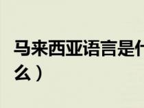 馬來西亞語言是什么語系（馬來西亞語言是什么）