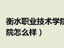 衡水職業(yè)技術(shù)學(xué)院怎么樣啊（衡水職業(yè)技術(shù)學(xué)院怎么樣）