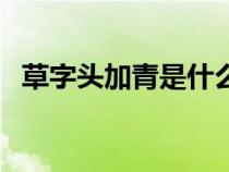 草字頭加青是什么字怎么讀(草字頭加青) 草字頭加青是什么字怎么讀(草字頭加青)