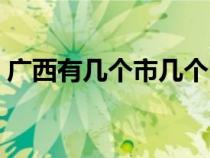 廣西有幾個(gè)市幾個(gè)區(qū)幾個(gè)縣（廣西有幾個(gè)市）