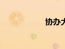 協(xié)辦大學(xué)士（協(xié)辦）