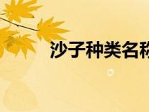 沙子種類名稱及圖片（沙子種類）