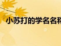 小蘇打的學名名稱是（小蘇打?qū)W名是什么）