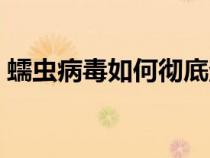蠕蟲病毒如何徹底查殺（蠕蟲病毒如何殺除）