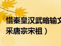 惜秦皇漢武略輸文采全文（惜秦皇漢武略輸文采唐宗宋祖）