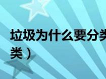 垃圾為什么要分類活動反思（垃圾為什么要分類）