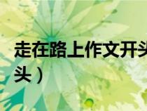 走在路上作文開頭優(yōu)美句子（走在路上作文開頭）