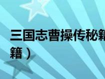 三國(guó)志曹操傳秘籍超全文庫(kù)（三國(guó)志曹操傳秘籍）