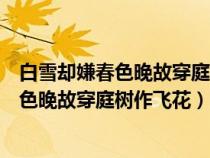 白雪卻嫌春色晚故穿庭樹作飛花哪個(gè)是多音字（白雪卻嫌春色晚故穿庭樹作飛花）