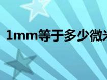 1mm等于多少微米um（1mm等于多少絲）