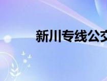 新川專(zhuān)線公交車(chē)路線(新川專(zhuān)線) 新川專(zhuān)線公交車(chē)路線(新川專(zhuān)線)