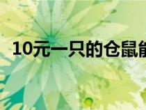 10元一只的倉鼠能活多久（倉鼠能活多久）