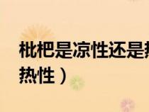枇杷是涼性還是熱性水果?（枇杷是涼性還是熱性）