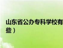 山東省公辦?？茖W(xué)校有哪些大學(xué)（山東省公辦專科學(xué)校有哪些）