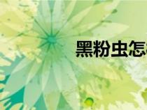 黑粉蟲怎樣消除（黑粉蟲）