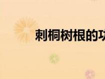 刺桐樹根的功效與主治(刺桐樹) 刺桐樹根的功效與主治(刺桐樹)