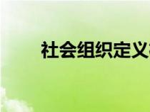 社會組織定義權威（社會組織定義）