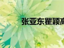 張亞東瞿穎高圓圓（張亞東瞿穎）