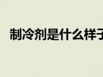 制冷劑是什么樣子的（制冷劑是什么成分）