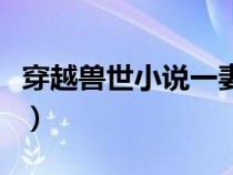 穿越獸世小說一妻多夫完結(jié)（一妻多夫怎么玩）