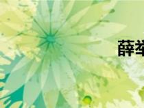 薛舉城（薛舉）