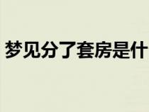 夢(mèng)見(jiàn)分了套房是什么意思（套房是什么意思）
