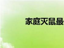 家庭滅鼠最佳方法（家庭滅鼠）