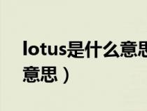 lotus是什么意思翻譯成中文（lotus是什么意思）