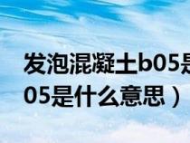 發(fā)泡混凝土b05是什么意思呀（發(fā)泡混凝土B05是什么意思）