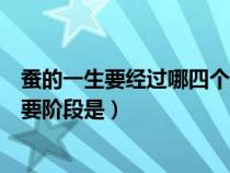 蠶的一生要經(jīng)過(guò)哪四個(gè)階段的變化(蠶的一生經(jīng)過(guò)的四個(gè)主要階段是) 蠶的一生要經(jīng)過(guò)哪四個(gè)階段的變化(蠶的一生經(jīng)過(guò)的四個(gè)主要階段是)