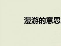 漫游的意思解釋（漫游的意思）