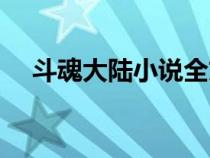 斗魂大陸小說全文閱讀（斗魂大陸小說）