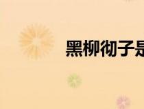 黑柳徹子是誰（黑柳徹子死）