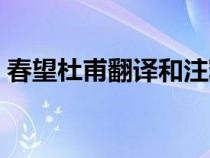 春望杜甫翻譯和注釋（春望杜甫翻譯和賞析）