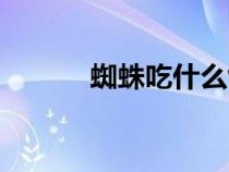 蜘蛛吃什么飼料（蜘蛛吃什么）