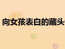 向女孩表白的藏頭詩（向女生表白的藏頭詩）