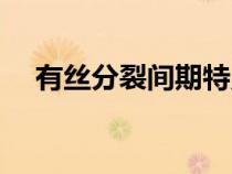 有絲分裂間期特點(diǎn)（有絲分裂后期特點(diǎn)）