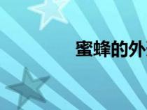 蜜蜂的外形（蜜蜂的習性）
