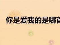 你是愛(ài)我的是哪首歌的歌詞（你是愛(ài)我的）