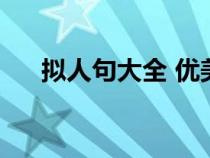 擬人句大全 優(yōu)美摘抄六年級(jí)（擬人句）