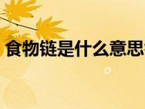 食物鏈是什么意思舉例說明（食物鏈是什么）