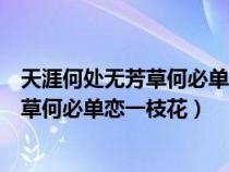 天涯何處無芳草何必單戀一枝花出自哪首詩（天涯何處無芳草何必單戀一枝花）