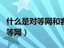 什么是對等網(wǎng)和客戶機/服務(wù)器網(wǎng)?（什么是對等網(wǎng)）