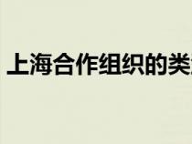 上海合作組織的類型（上海合作組織的性質(zhì)）