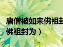 唐僧被如來(lái)佛祖封為旃檀功德佛(唐僧被如來(lái)佛祖封為) 唐僧被如來(lái)佛祖封為旃檀功德佛(唐僧被如來(lái)佛祖封為)